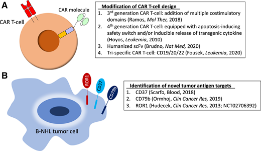 Preclinical and early clinical strategies to optimize CAR T-cell therapy in B-NHL. (A) Modification of CAR T-cell design. (B) Identification of novel tumor antigen targets. ROR1, receptor tyrosine kinase-like orphan receptor 1; scFv, single-chain variable fragment.