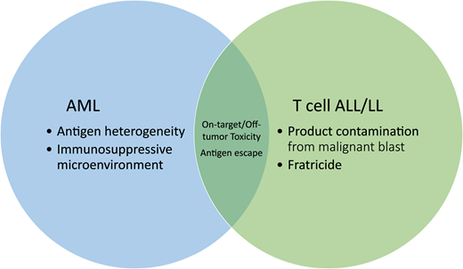 An overview of the barriers facing chimeric antigen receptor T-cell development for acute myeloid leukemia (AML) and T-cell acute lymphoblastic leukemia (ALL) and lymphoblastic lymphoma (LL).