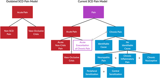 Taxonomy of pain in SCD. The previously simple classification of pain in SCD assumed all pain was episodic and acute in nature. The current model includes the chronic pain that most patients with SCD are now known to experience, with potential contributions from multiple etiologies to varying degrees. Superimposed acute pain episodes can result from the classic vaso-occlusion or from exacerbations of chronic pain. Any one category of pain shown can likely indirectly contribute to the development of any other category, introducing even further complications.