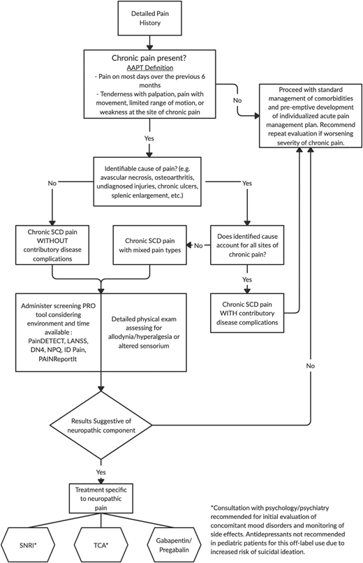 Suggested assessment/management algorithm for NP in SCD based on the best available evidence.