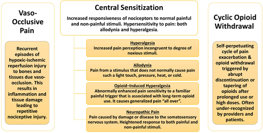 Distinction between 3 different types of pain experienced by patients with SCD.