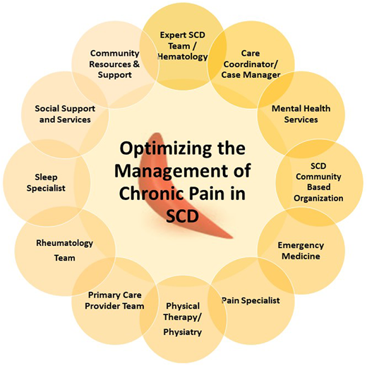 Multidisciplinary team approach to optimizing the management of chronic pain in SCD.