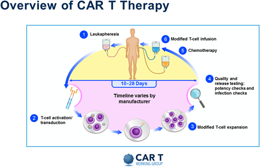 Overview of CAR T therapy. Reproduced with permission from the Slide Library of the CAR T Working Group (v2 9.4.2019).