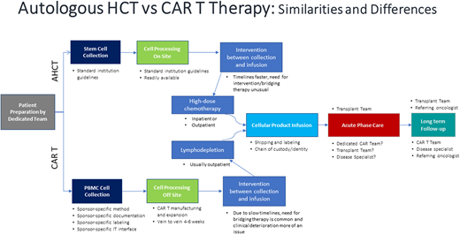 Autologous hematopoietic cell transplantation versus CAR T therapy: similarities and differences.