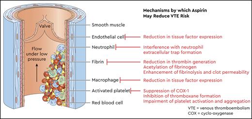 Professional illustration by Patrick Lane, ScEYEnce Studios