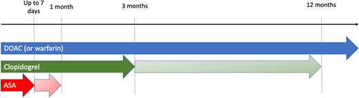 Timeline of antithrombotic therapy in atrial fibrillation and coronary artery disease. For patients with high thrombotic risk (including ACS), ≥3 months (and ≤12 months) of clopidogrel and ≤1 month of aspirin (ASA) is recommended. Longer courses of clopidogrel use may be appropriate for patients with high ischemic risk or who experience an ACS. For PCI for stable angina, a shorter course of clopidogrel and ASA (≤7 days) may be more appropriate (indicated by dark shaded arrows).