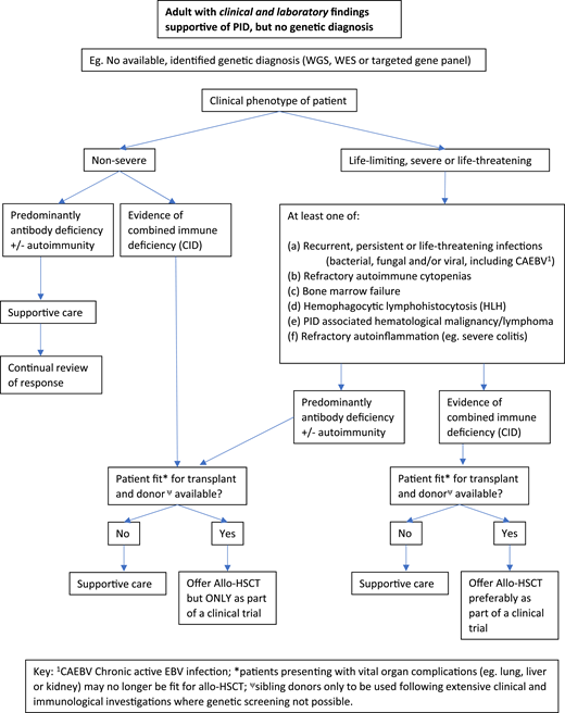 Decision flowchart (algorithm) for adult PID patients without a genetic diagnosis referred for allogeneic HSCT.
