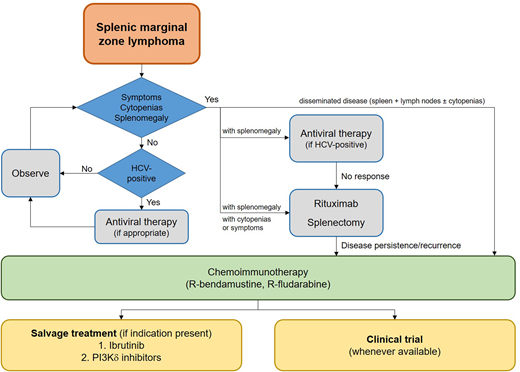 Treatment sequencing in splenic MZL. R, rituximab.