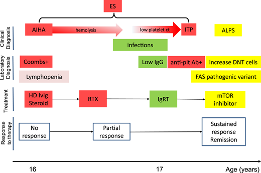 Diagnostic and treatment saga of a 16-year-old with autoimmune cytopenias. Diagnostic evaluation and steps of managements are color-coded (hematology in red, infection in green, and specific immune defect in yellow). AB, antibody; ALPS, autoimmune lymphoproliferative disease; ct, count; DNT, double negative T cell; HD, high dose; IvIg, intravenous Ig; plt, platelet; RTx, replacement therapy.