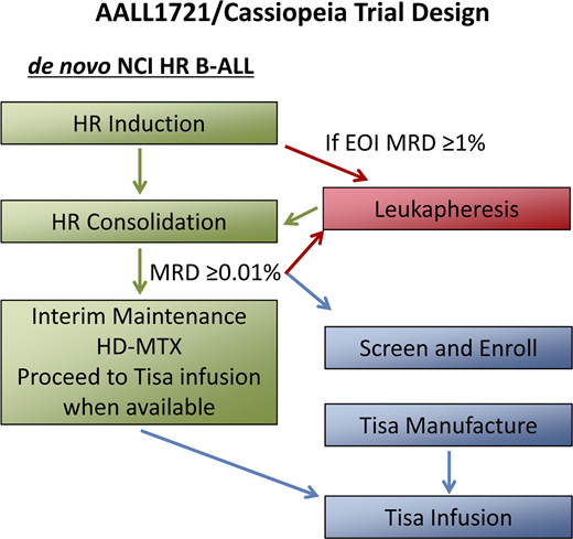 AALL1721/Cassiopeia trial design. AALL1721/Cassiopeia is a phase 2, single-arm, international multicenter trial of tisagenlecleucel in children and young adults with persistent MRD. Patients age 1 to 25 years diagnosed with CD19-expressing National Cancer Institute (NCI) HR (age 10 years or older or presenting with a white blood cell count ≥50 × 109/L) B-ALL are eligible in first remission after induction/protocol IA and consolidation/protocol IB chemotherapy if MRD is detected by central multiparameter flow cytometry at ≥0.01%. Leukapheresis can occur after induction, if EOI MRD ≥1%, or after consolidation, once a patient has a qualifying MRD result. Enrolled patients proceed to the next phase of standard-of-care therapy, interim maintenance (IM), during the period of tisagenlecleucel manufacture. After stopping IM chemotherapy, patients will receive a lymphodepleting chemotherapy regimen of fludarabine and cyclophosphamide followed by a single infusion of tisagenlecleucel. After infusion, no further cancer-directed chemotherapy (including intrathecal chemotherapy) will be administered per protocol. HD-MTX, high-dose methotrexate; tisa, tisagenlecleucel.