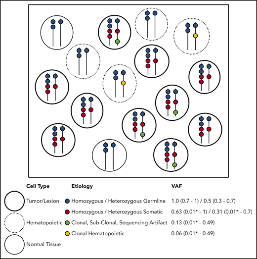 Etiology of DNA alterations in a representative sample of NGS sequencing. The box contains a population of cells (each circle) undergoing bulk NGS. Each color represents a DNA alteration of different etiology. VAF for the representative example is shown with typical ranges observed on clinical NGS panels. This example does not account for CNVs or DNA structural aberrations. *Lower detection limit depends on the depth and platform of NGS.