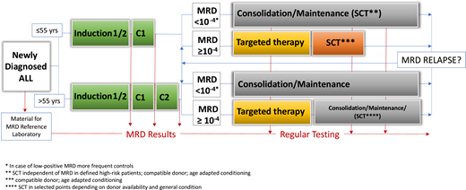 Flow of MRD surveillance and treatment decisions (GMALL strategy).