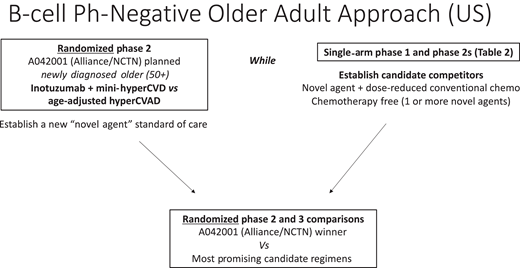Treating Ph-negative B-cell ALL in older adults: future trial landscape.