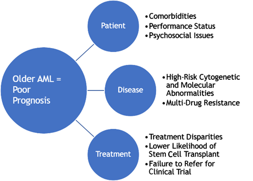 Factors leading to a poor prognosis in older AML patients.