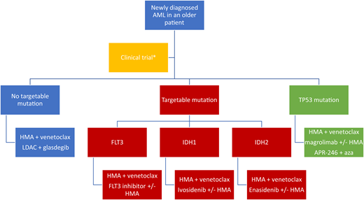 Algorithm for the treatment of newly diagnosed AML in the older patient.