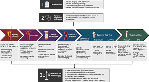 A structured approach to the diagnosis and management of unexplained arterial thrombosis.2-5 *Includes factor V Leiden, prothrombin G20210A mutation, protein C deficiency, protein S deficiency, and antithrombin deficiency. aCL, anticardiolipin; aβ2GPI, anti-β2 glycoprotein 1; CBC, complete blood count; CRP, C-reactive protein; DM, diabetes; ESR, erythrocyte sedimentation rate; HbA1c, hemoglobin A1c; HLD, hyperlipidemia; HTN, hypertension; LA, lupus anticoagulant; PCR, polymerase chain reaction; PNH, paroxysmal nocturnal hemoglobinuria; TEE, transesophageal echocardiogram; TTE, transthoracic echocardiogram; UA, urinalysis.