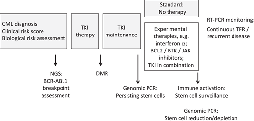 Innovative strategies to improve chances of treatment-free remission.