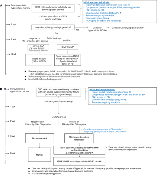 Diagnostic approach to hypocellular marrow failure based on severity. (A) Diagnostic approach to severe hypocellular marrow failure requiring therapy—time-limited. (B) Diagnostic approach to nonsevere hypocellular marrow failure not requiring therapy—not time-limited. Time-limited indicates the urgency to get the workup completed before starting therapy. BM, bone marrow aspirate; PB, peripheral blood; PNH, paroxysmal nocturnal hemoglobinuria.