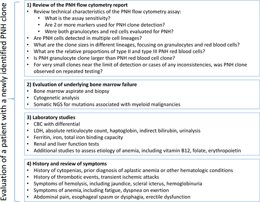 The recommended evaluation algorithm for patients with a newly identified PNH clone. CBC, complete blood count; NGS, next-generation sequencing.