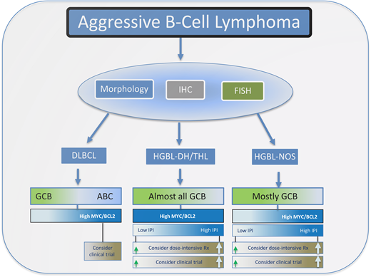 Outline for the workup and management of aggressive B-cell lymphomas. Typically, morphological, immunohistochemistry, and FISH analysis are performed to differentiate DLBCL from HGBL. HGBL cases are divided into those that are DHL/THL or NOS. For DLBCL cases that have a high-protein expression of MYC and BCL2, which are usually of ABC origin, dose-intensive therapy or enrollment in a clinical trial should be considered, particularly for patients with a high IPI score.