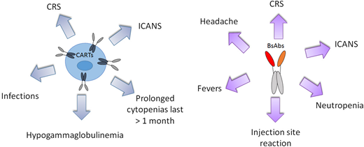 CART or BsAb treatment-related adverse effects of interest with an incidence of ≥10% and ≥5%, respectively.