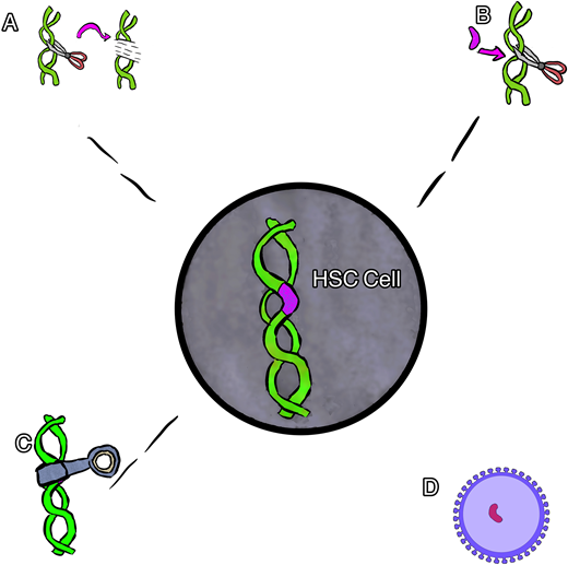 Cartoon rendering of different gene therapies. (A) Gene editing, (B) gene correction, (C) gene silencing, and (D) gene addition via viral vector.