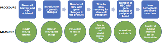 Gene therapy process and evaluation measures. DP, drug product; VCN, vector copy number.