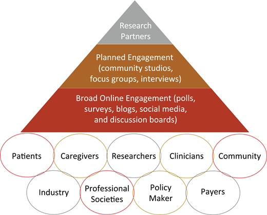 Hematology stakeholder-engagement framework in clinical trials and research studies.