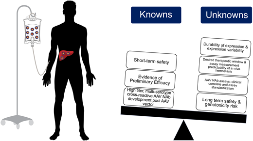 Summary of known and unknown variables for recombinant AAV gene edition clinical efforts for in hemophilia A and B.