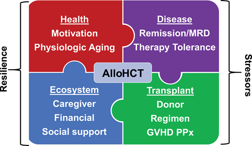 Solving the puzzle of alloHCT for older patients with hematologic malignancies. MRD, measurable residual disease; PPx, prophylaxis.