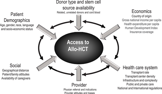 Factors associated with access to allo-HCT: an international perspective.