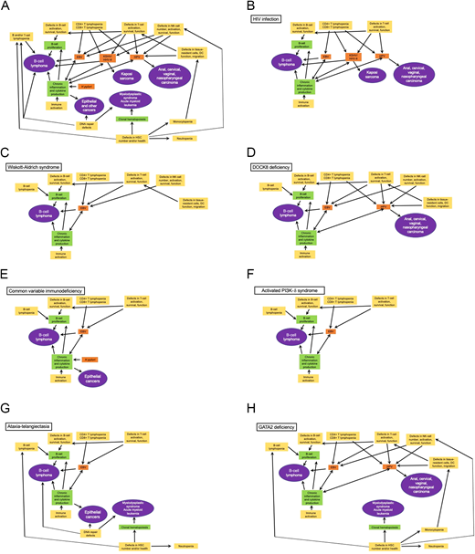 Key relationships between immune defects and oncogenesis. General relationships are shown in A, and key relationships specific to the indicated diseases are shown in B-H. Yellow boxes denote key immunologic defects observed in HIV/AIDS and/or IEI; green boxes denote secondary defects; orange boxes denote infectious agents that contribute to malignancies in immunodeficiency; purple ovals show the principal malignancies associated with the immune defects. DC, dendritic cell; HHV-8, human herpesvirus 8.