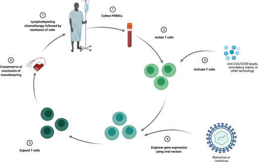 Process of manufacturing CAR T cells.
