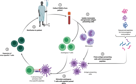 Process of manufacturing virus-specific cells.