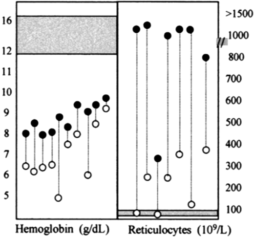 Splenectomy does not cure but does ameliorate CNSHA of PK deficiency. In each of these 10 patients with PK deficiency, a significant increase in the steady-state hemoglobin level was seen after splenectomy (left panel). Whereas in most types of CNSHA an improvement of anemia, resulting from decreased hemolysis, is usually associated with a decrease in the reticulocyte count, in PK deficiency reticulocytes often increase after splenectomy. This paradoxical phenomenon suggests that the spleen selectively removes PK-deficient reticulocytes; the mechanism is not yet well understood.48 From Zanella et al.8
