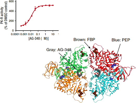 Mitapivat is an allosteric activator of PK.Top panel: the sigmoid-shaped dependence of PK activity on the concentration of AG-348 (mitapivat) suggests cooperative interaction among the PK subunits. Bottom panel: diagram of the three-dimensional structure of the PK tetramer with bound mitapivat (gray). Blue: the substrate phosphoenolpyruvate PEP; brown: the physiological activator fructose-1,6-bisphosphate (FBP). Modified from Kung et al.52