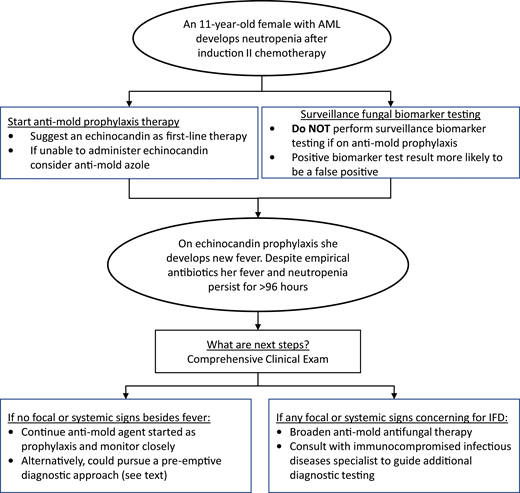 Conceptual model for antifungal diagnostic and therapeutic decisions during neutropenia after chemotherapy for AML.