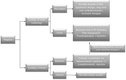How I treat priapism. For episodes lasting greater than 4 hours, urgent urologic consultation for prompt aspiration +/- sympathomimetic injection is recommended. For stuttering episodes, it is reasonable to attempt increased hydration and pain management. Long-term oral sympathomimetics may be beneficial in the prevention of recurrent episodes, as well as therapy with hydroxyurea (HU) or chronic transfusions. Hu, hydroxyurea; IV, intravenous.