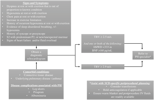 How I approach PH screening. Every patient with SCD should be screened for “red-flag” signs and symptoms of PH at routine visits (when there is no acute illness present). Any red-flag sign/symptom, or the presence of certain comorbidities or disease-specific complications, should be further evaluated with a diagnostic echocardiogram. A moderately elevated TRV, or a mild elevation with other prognostic factors, should warrant further referral to a specialist. IV, intravenous; 6MWD, 6-minute walk distance.