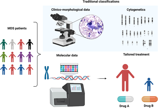 Clinicobiological characterization of MDS and tailored treatment. MDS patients represent a heterogeneous multitude characterized by different clinical, karyotypic, morphologic, and molecular features. In particular, the lower panel demonstrates how the incorporation of molecular information into currently available prognostication schemes will enable in the near future better prognostication and tailored treatments.