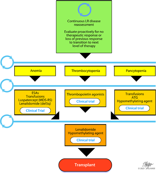 Therapeutic paradigm in LR MDS. MDS-RS, myelodysplastic syndrome with ring sideroblasts.