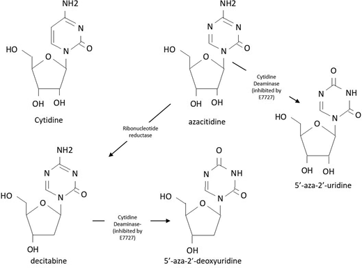 Chemical structure of cytidine, azacitidine analogues, and the breakdown products of CDA.