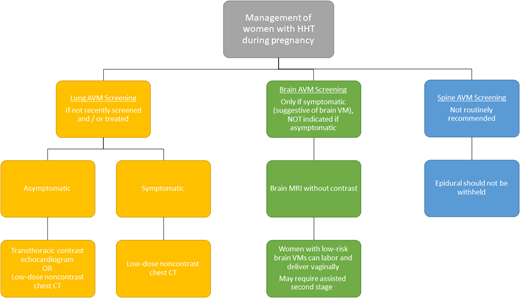 Guidelines for pregnancy and delivery in HHT.1 CT, computed tomography; VM, vascular malformation.