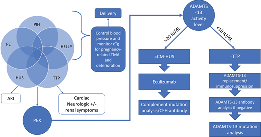 Summary of treatment of acute TMA in pregnancy. Highlighted are the conditions that may present as TMA in pregnancy. Pregnancy-related TMAs generally require delivery. TTP and CM-HUS may present features of pregnancy-related TMAs but require a different pathway in part dictated by the ADAMTS-13 activity level. TTP is diagnosed when ADAMTS-13 activity is less than 10 IU/dL but may be up to 20 IU/dL before TTP can be excluded. Repeat ADAMTS-13 activity samples and ADAMTS-13 antibody should be checked.