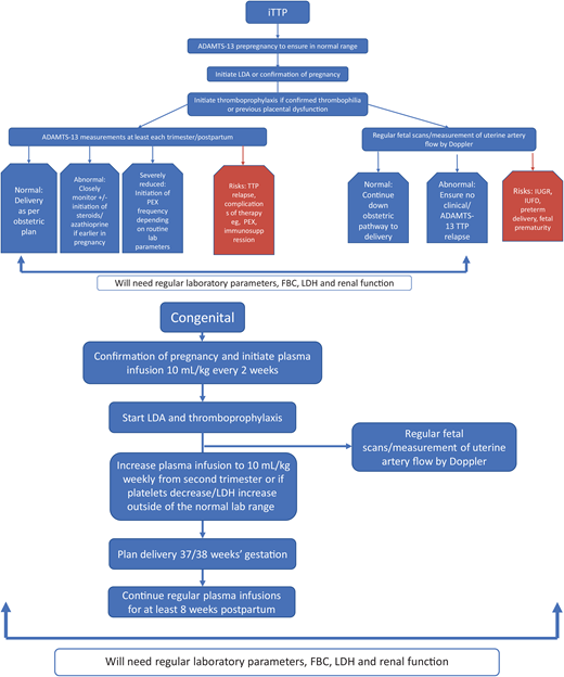 TTP in subsequent pregnancies, immune mediated and congenital pathways. Proceeding with subsequent pregnancy requires a discussion of the maternal and fetal risks. Close management throughout pregnancy is required for patients with both immune-mediated and congenital TTP. Regular fetal imaging ultrasound and uterine artery Doppler measurements would be advised. IUGR, in utero growth retardation; PEX, plasma exchange.