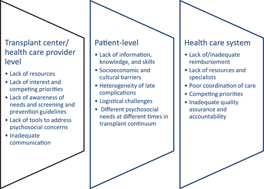 Barriers to psychosocial care delivery.
