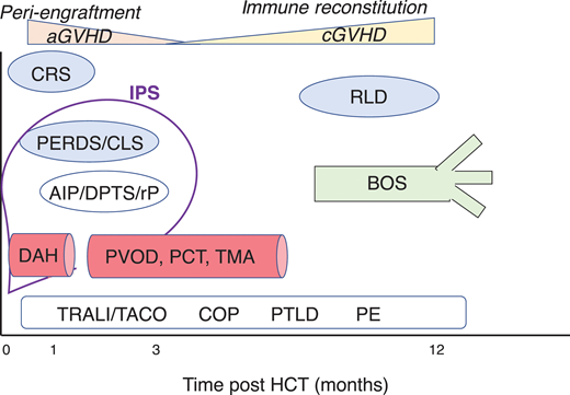 Illustrated HCT noninfectious lung complications in terms of structure and peak timing after HCT. The time after HCT is shown on the x-axis (in months) with the diseases. Light blue bubbles, parenchymal processes (CRS; PERDS; CLS, capillary leak syndrome from endothelial damage; AIP; rP; DPTS; RLD). Red vessels, the endothelial processes (DAH; PVOD; PCT; TA-TMA). Green airway, airway disease (BOS). IPS, which is most often defined early post HCT, includes these diagnoses (defined by hypoxia, infiltrates, alveolar injury, and excludes later diagnoses that often do not present with these features). White box, pulmonary noninfectious diagnoses not specific to HCT (TRALI; TACO; COP; PE; PTLD), which can occur throughout the HCT trajectory. Above the table are key events occurring during HCT aGVHD and cGVHD.