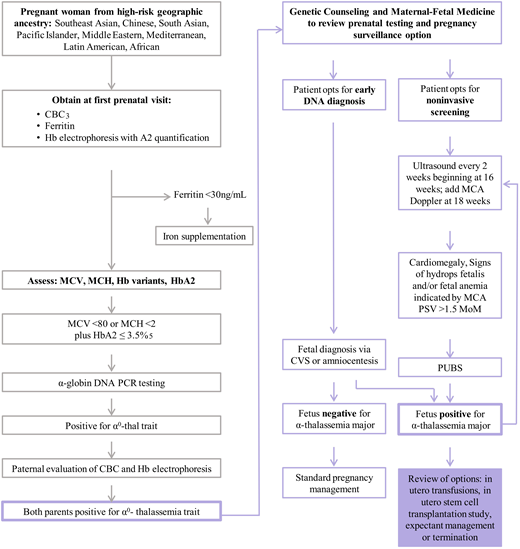 Prenatal screening for ATM. (1) This tool is not a replacement for referral to genetic counseling, which may happen at any time in this pathway. Genetic counseling provides guidance for genetic testing and management options for families with pregnancies at risk for severe forms of thalassemia. (2) The sensitivity and specificity are not definitive, and not all carriers will be detected by this screening. (3) The American College of Obstetricians and Gynecologists recommends that all pregnant women have a CBC with assessment of MCV. (4) Rare mutations, such as nondeletional α-thalassemia and others, may not be captured in this algorithm. In high-risk cases, or where Hb electrophoresis is abnormal, consultation with a genetic counselor and/or hematologist is recommended. (5) The presence of HbA2 > 3.5 does not exclude a coexisting α0-thalassemia trait. In individuals of Southeast Asian, Filipino, or Chinese descent who have microcytic hypochromic anemia, perform α-globin gene deletion and common variant studies irrespective of HbA2 level. CBC, complete blood count; CVS, chorionic villus sampling; HPLC, high-performance liquid chromatography; MCA, middle cerebral artery; MCH, mean corpuscular hemoglobin; MCV, mean corpuscular volume; MoM, multiples of the median; PCR, polymerase chain reaction; PSV, peak systolic velocity; PUBS, percutaneous umbilical blood sampling. Adapted with permission from the University of California, San Francisco hemoglobinopathy screening algorithm.
