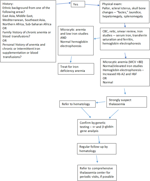 Ideal algorithm for thalassemia screening, developed to screen for thalassemia syndromes in adults based on history, physical examination, and laboratory parameters.