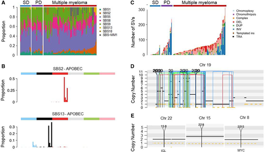 Myeloma-defining genomic events detectable only using WGS.47 (A) Mutational signatures landscape across different clinical stages. PD, progressive myeloma precursor condition (ie, early detection of multiple myeloma; EMM); SD, stable myeloma precursor condition (ie, monoclonal gammopathy; MG). (B) The 96-class profile of SBS 2 and 13 (APOBEC). (C) Prevalence of complex and single SV in MM and precursor conditions. (D) Example of chromothripsis on chromosome 19. (E) Example of templated insertion involving IGL and MYC. DEL, deletion; DUP, duplication; ins, insertions; INV, inversion; SBS, single-base substitution; TRA, translocation.